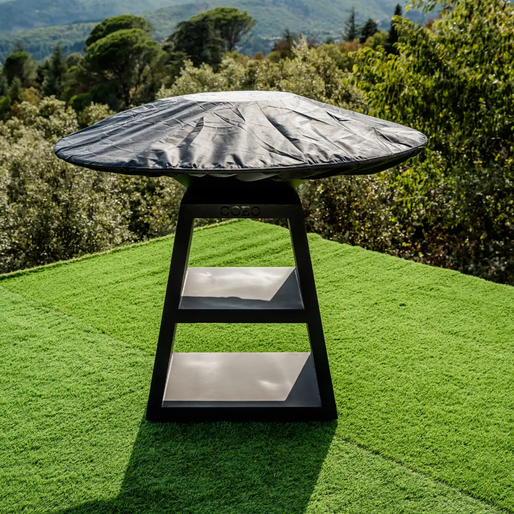 Untitled design (4).webp