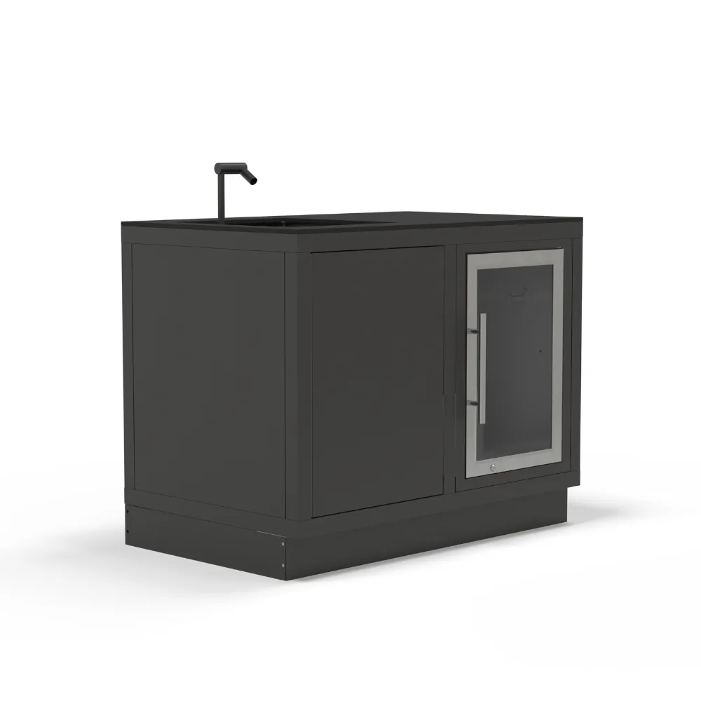 Module cuisine extérieure 120 cm inox 304