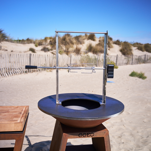 Rotissery with motor